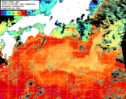 NOAA人工衛星画像:黒潮域, 1日合成画像(2025/11/08UTC)