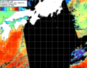 NOAA人工衛星画像:黒潮域, 1日合成画像(2025/11/14UTC)