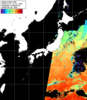 NOAA人工衛星画像:日本全域, パス=20251117 00:50 UTC