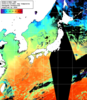 NOAA人工衛星画像:日本全域, 1日合成画像(2025/11/22UTC)