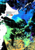 NOAA人工衛星画像:親潮域, 1日合成画像(2025/12/18UTC)