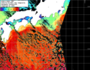 NOAA人工衛星画像:黒潮域, 1日合成画像(2026/01/03UTC)