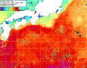 NOAA人工衛星画像:黒潮域, 1週間合成画像(2025/12/28～2026/01/03UTC)