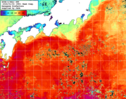 NOAA人工衛星画像:黒潮域, 1週間合成画像(2025/12/29～2026/01/04UTC)
