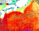 NOAA人工衛星画像:黒潮域, 1週間合成画像(2025/12/30～2026/01/05UTC)
