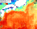NOAA人工衛星画像:黒潮域, 1週間合成画像(2026/01/18～2026/01/24UTC)