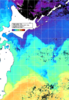 NOAA人工衛星画像:親潮域, 1週間合成画像(2026/01/29～2026/02/04UTC)
