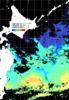 NOAA人工衛星画像:親潮域, パス=20260205 11:54 UTC