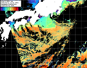 NOAA人工衛星画像:黒潮域, パス=20260211 12:32 UTC