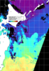 NOAA人工衛星画像:親潮域, 1日合成画像(2026/02/22UTC)