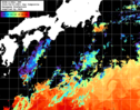 NOAA人工衛星画像:黒潮域, 1日合成画像(2026/04/01UTC)