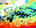 NOAA人工衛星画像:黒潮域, 1週間合成画像(2026/06/15～2026/06/21UTC)