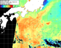 NOAA人工衛星画像:黒潮域, 1日合成画像(2026/07/20UTC)