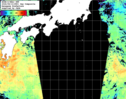 NOAA人工衛星画像:黒潮域, 1日合成画像(2026/08/13UTC)