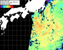 NOAA人工衛星画像:黒潮域, 1日合成画像(2026/08/16UTC)