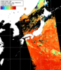 NOAA人工衛星画像:日本全域, 1日合成画像(2026/08/19UTC)