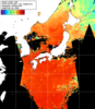 NOAA人工衛星画像:日本全域, 1日合成画像(2026/08/22UTC)