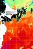 NOAA人工衛星画像:親潮域, 1日合成画像(2026/08/24UTC)