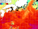 NOAA人工衛星画像:黒潮域, 1週間合成画像(2026/09/25～2026/10/01UTC)