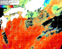 NOAA人工衛星画像:黒潮域, 1日合成画像(2026/10/03UTC)