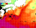 NOAA人工衛星画像:黒潮域, 1日合成画像(2024/04/28UTC)