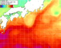 NOAA人工衛星画像:黒潮域, 1週間合成画像(2024/04/22～2024/04/28UTC)