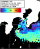 ひまわり人工衛星:沿岸～伊豆諸島,15:59JST,1時間合成画像