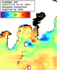 ひまわり人工衛星:沿岸～伊豆諸島,13:59JST,1時間合成画像