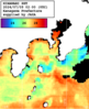 ひまわり人工衛星:沿岸～伊豆諸島,11:59JST,1時間合成画像