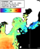 ひまわり人工衛星:沿岸～伊豆諸島,19:59JST,1時間合成画像