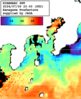 ひまわり人工衛星:沿岸～伊豆諸島,08:59JST,1時間合成画像