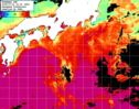 ひまわり人工衛星:黒潮域,08:59JST,1時間合成画像