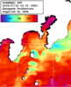 ひまわり人工衛星:沿岸～伊豆諸島,12:59JST,1時間合成画像