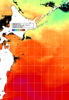 NOAA人工衛星画像:親潮域, 1日合成画像(2024/07/23UTC)