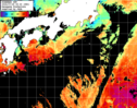 ひまわり人工衛星:黒潮域,14:59JST,1時間合成画像