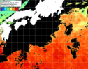ひまわり人工衛星:黒潮域,09:59JST,1時間合成画像