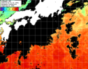ひまわり人工衛星:黒潮域,10:59JST,1時間合成画像