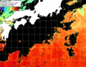 ひまわり人工衛星:黒潮域,11:59JST,1時間合成画像
