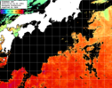 ひまわり人工衛星:黒潮域,12:59JST,1時間合成画像