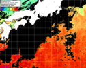 ひまわり人工衛星:黒潮域,13:59JST,1時間合成画像
