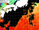ひまわり人工衛星:黒潮域,14:59JST,1時間合成画像