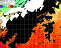 ひまわり人工衛星:黒潮域,15:59JST,1時間合成画像