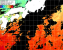 ひまわり人工衛星:黒潮域,20:59JST,1時間合成画像