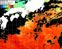 ひまわり人工衛星:黒潮域,12:59JST,1時間合成画像