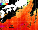 ひまわり人工衛星:黒潮域,12:59JST,1時間合成画像
