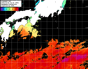 ひまわり人工衛星:黒潮域,12:59JST,1時間合成画像