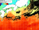 NOAA人工衛星画像:黒潮域, 1日合成画像(2024/10/20UTC)