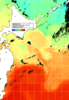 NOAA人工衛星画像:親潮域, 1日合成画像(2024/10/23UTC)