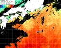 ひまわり人工衛星:黒潮域,03:59JST,1時間合成画像