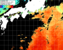 ひまわり人工衛星:黒潮域,09:59JST,1時間合成画像